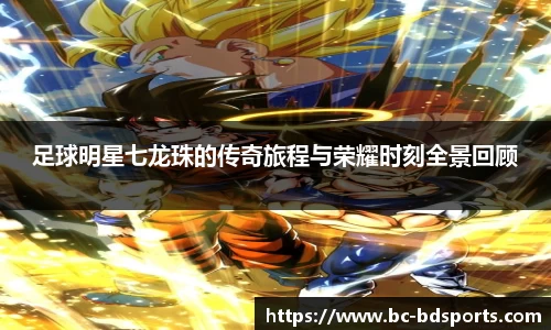 半岛体育官方网站